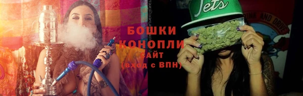 сатива Балахна