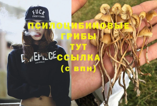 прущий лед Аркадак