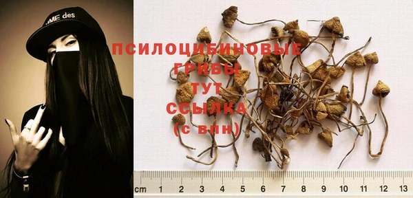 шишки Армянск