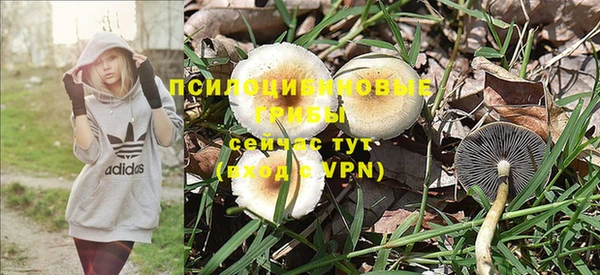 сатива Балахна